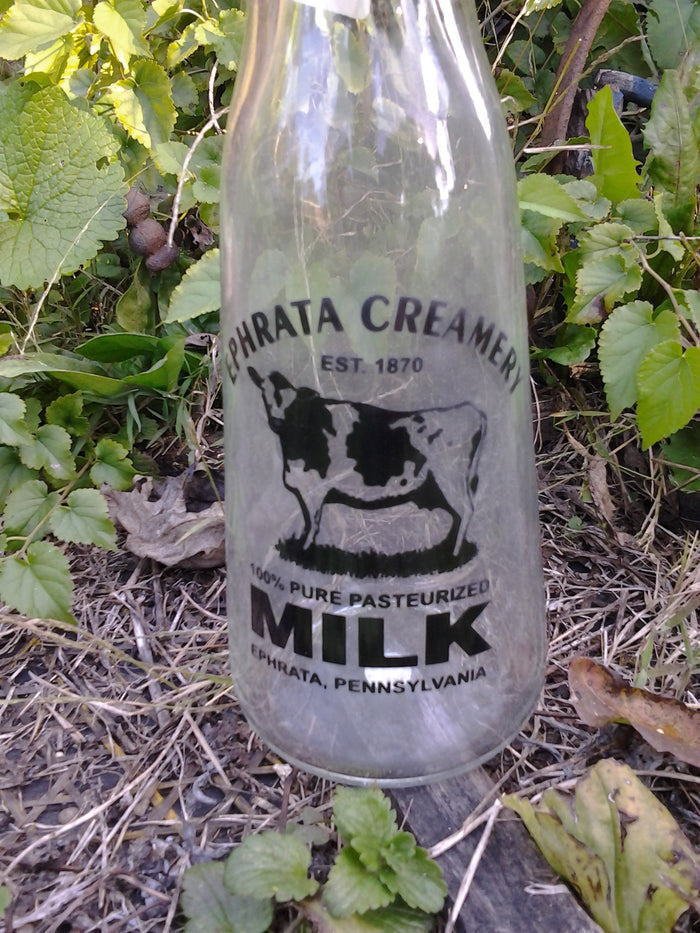 Milk Bottle - Small Ephrata Creamery 1870 (1pc)-Jantiques LLC.
