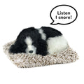 Mini Perfect Petzzz Cocker Spaniel