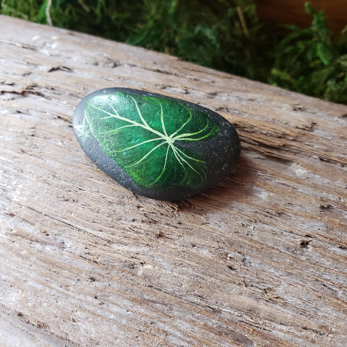 Monstera Painted River Stone