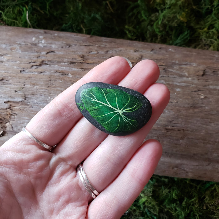 Monstera Painted River Stone