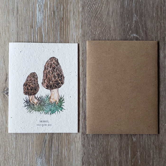 "Morel" Plantable Greeting Card