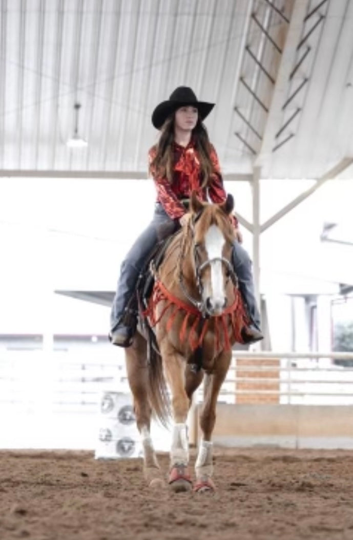 Mule tape horse tripping collar red