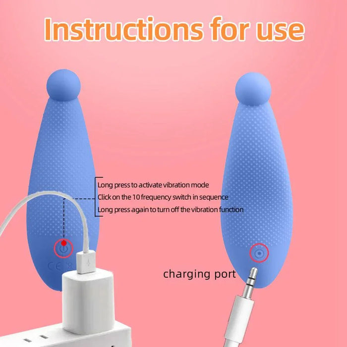 anal toy