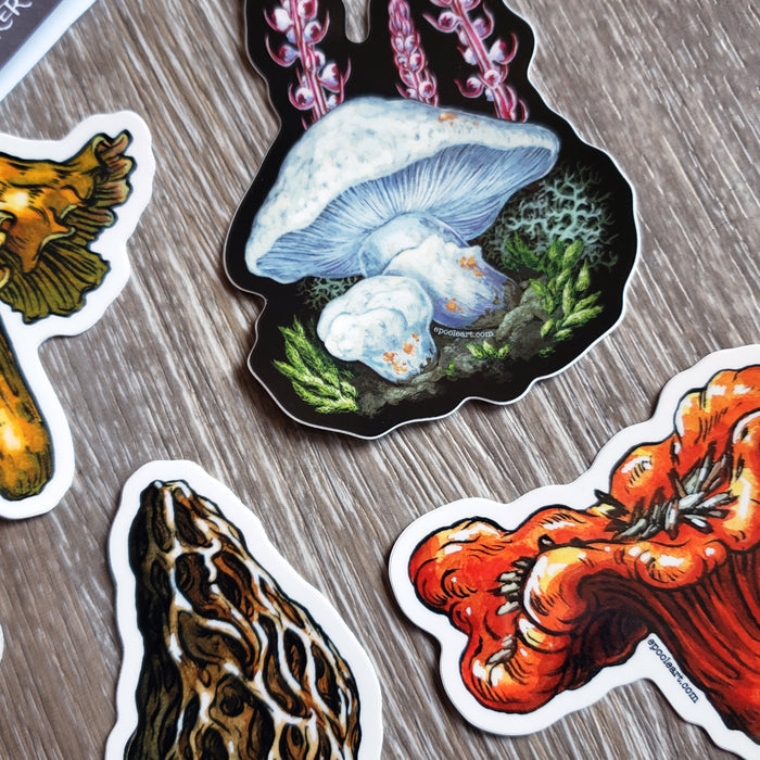 Mushroom Vinyl Sticker Set