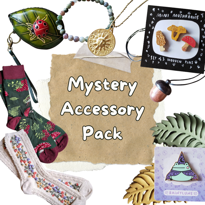 Mystery Accessory Pack