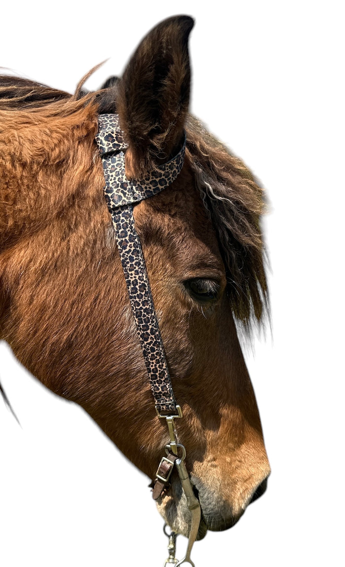One Ear Headstall cheetah print with quick change clips  horse size