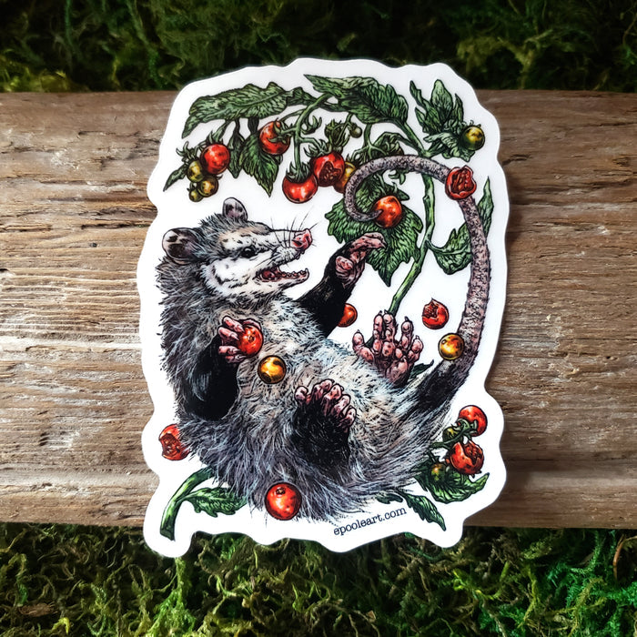 Opossum with Tomatoes Transparent Vinyl Sticker
