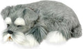 Perfect Petzzz Schnauzer