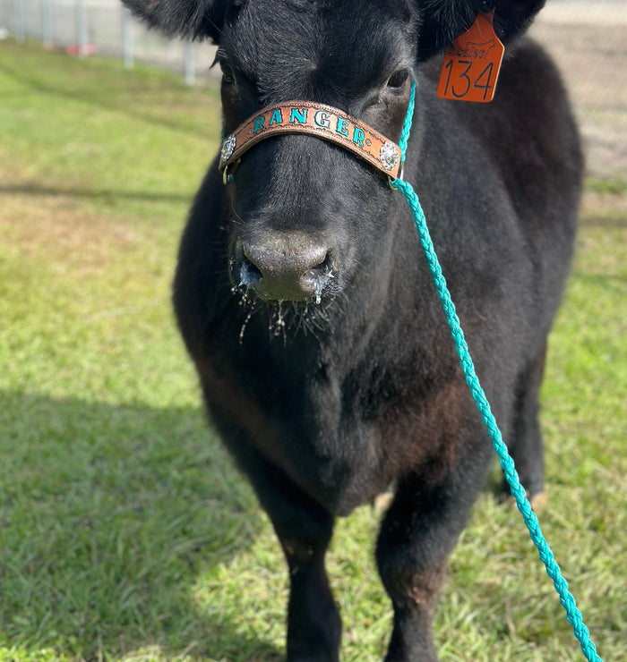 Personalized COW halter full cow size - Tiffanys Braided Tack LLC