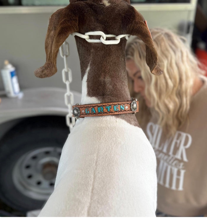 Personalized  goat or sheep halter hand hold blue