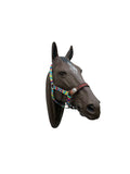 PERSONALIZED tie dye nylon horse halter