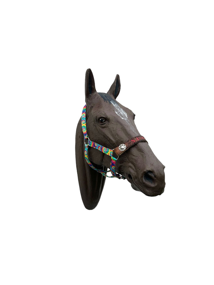 PERSONALIZED tie dye nylon horse halter