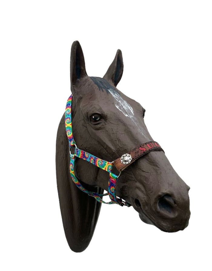 PERSONALIZED tie dye nylon horse halter