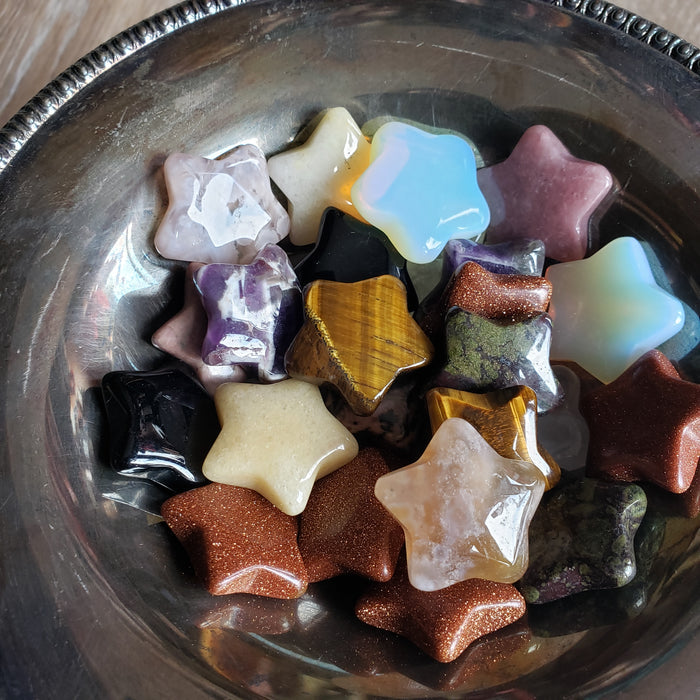 Polished Star Palm Stone