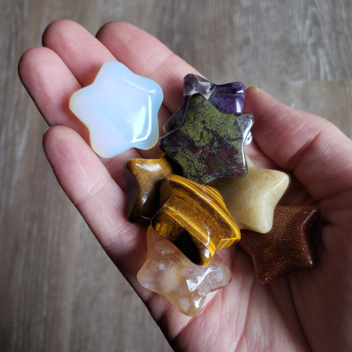 Polished Star Palm Stone