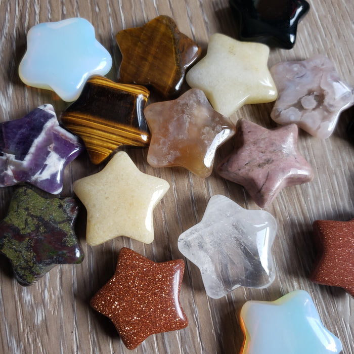 Polished Star Palm Stone