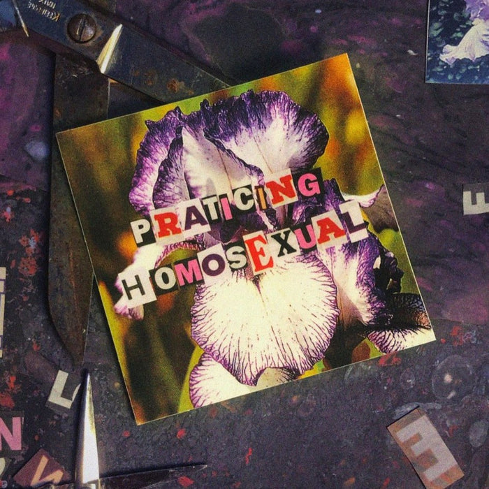 "Practicing Homosexual" Collage Sticker