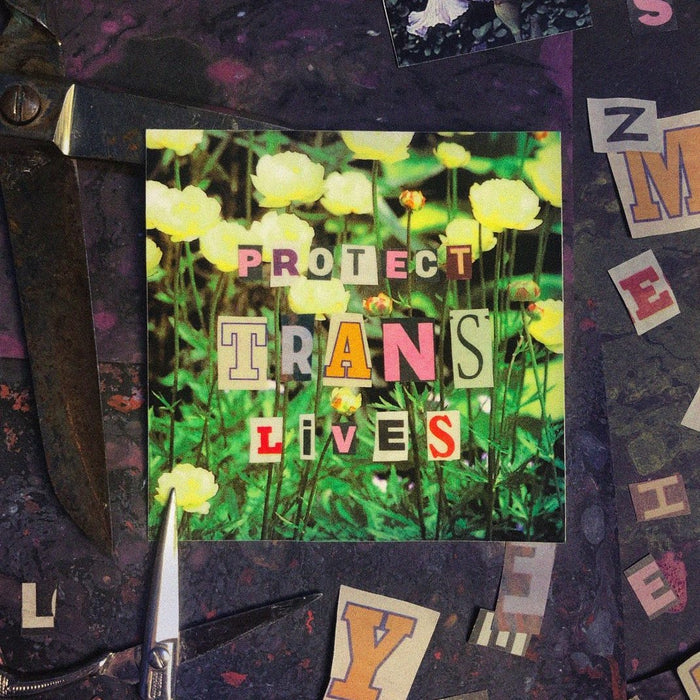 "Protect Trans Lives" Collage Sticker