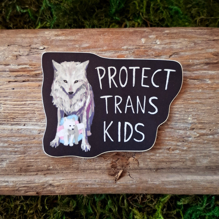 Protect Trans/Queer Kids Vinyl Sticker