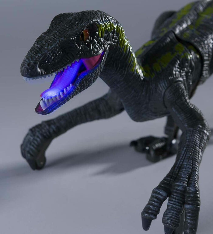 RC Velociraptor
