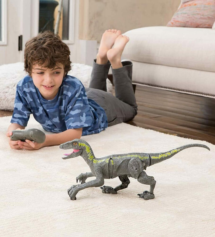RC Velociraptor