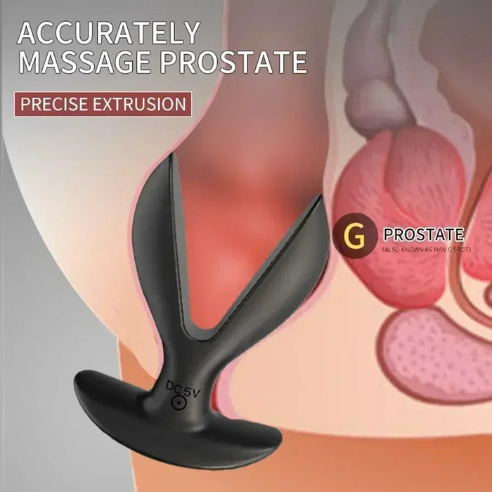 anal vibrator