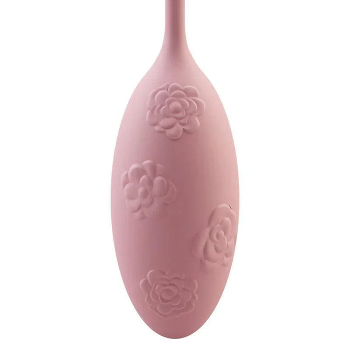 Remote Control Vibrating Egg Sex Toy for Women - xinghaoya official store
