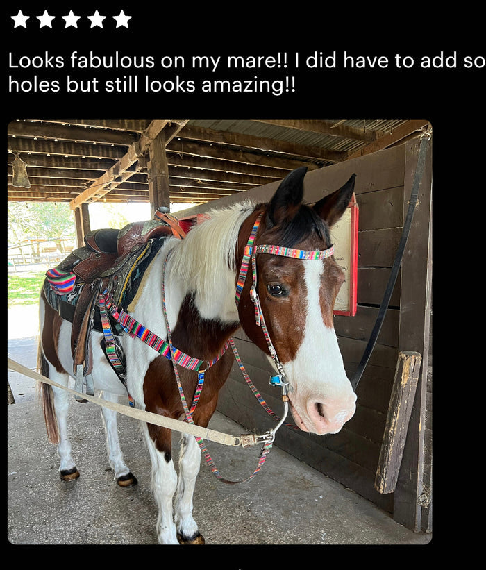 Serape  breast collar nylon horse size