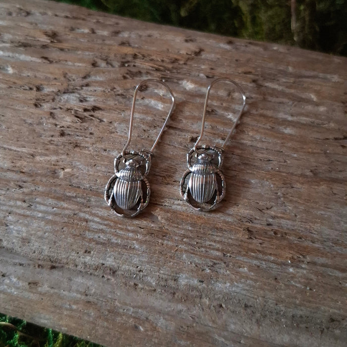 Silver Beetle Dangle Earrings