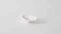 White ceramic dish on a light gray background