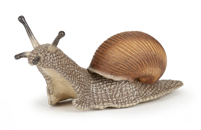 Snail