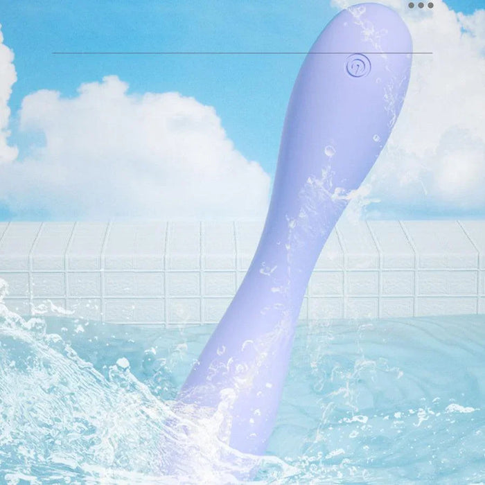 waterproof vibrator