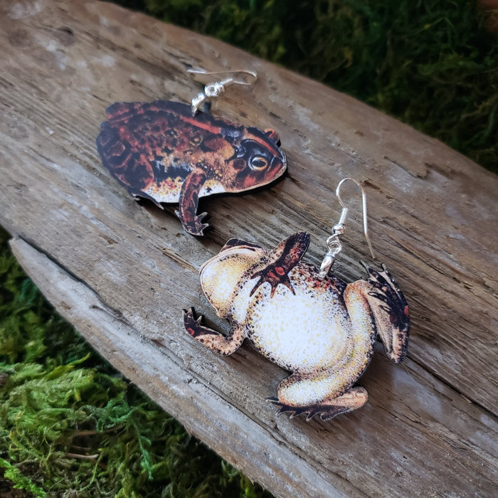 Southern Toad Wooden Earrings