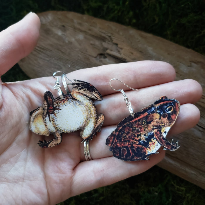 Southern Toad Wooden Earrings