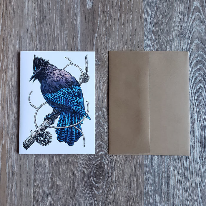 Steller's Jay Greeting Card