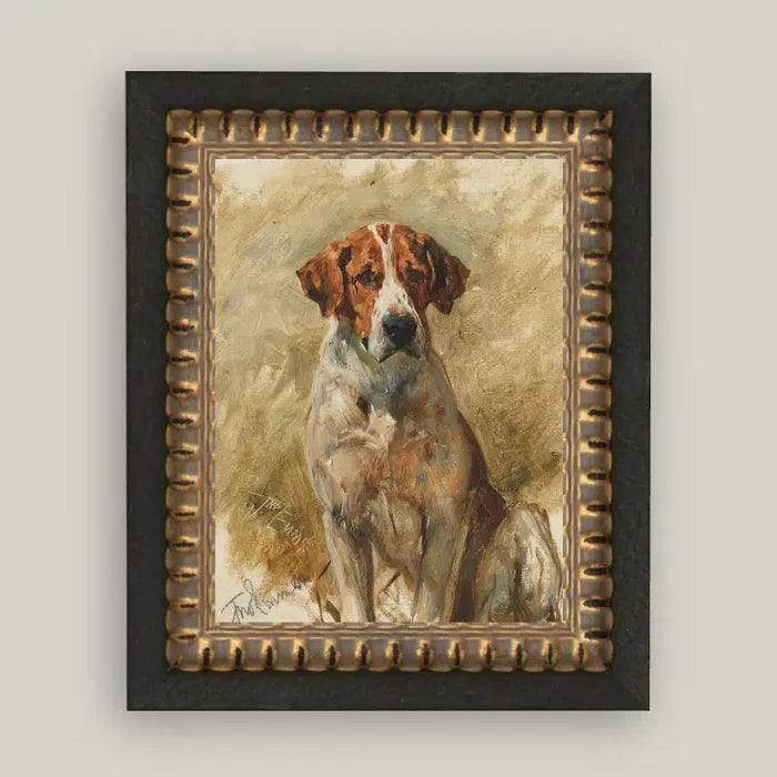 Study of A Hound Framed Antique Art 8x10