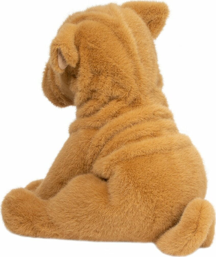 Tater DLux Shar Pei