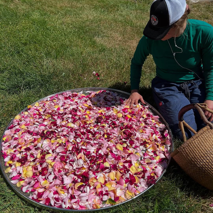 Person arranging rose petals on a large metal tray outdoors.