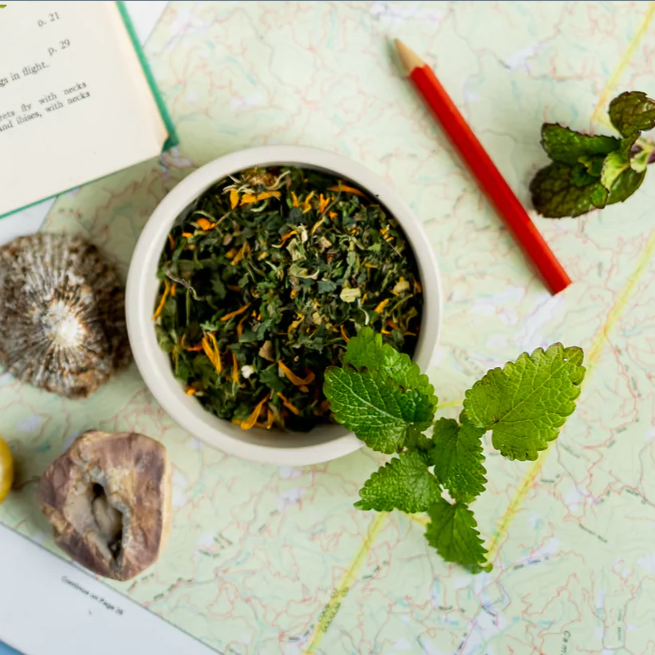 "The Seeker" Loose Leaf Green Tea