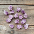 Tiny Amethyst Cluster