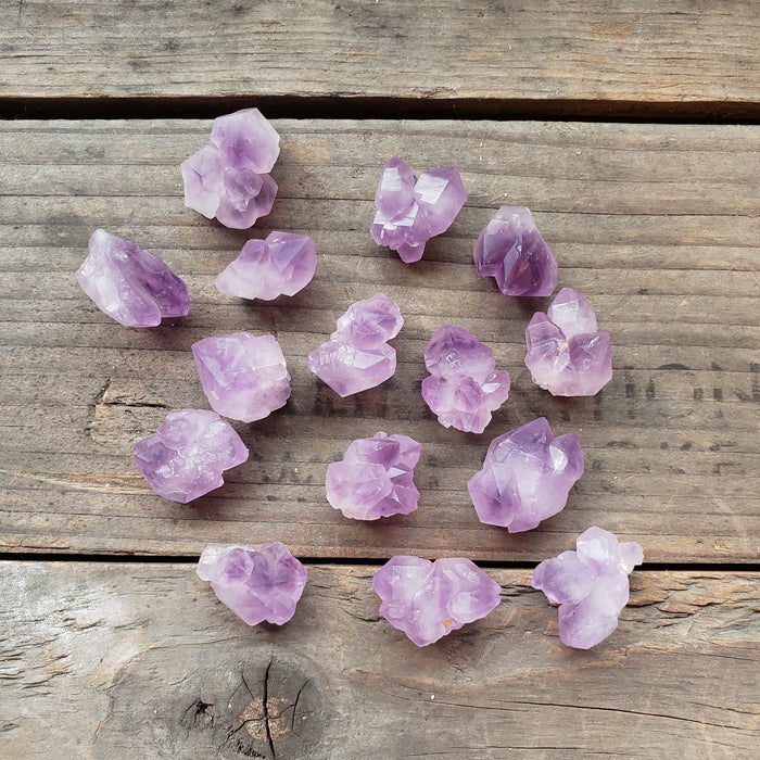 Tiny Amethyst Cluster