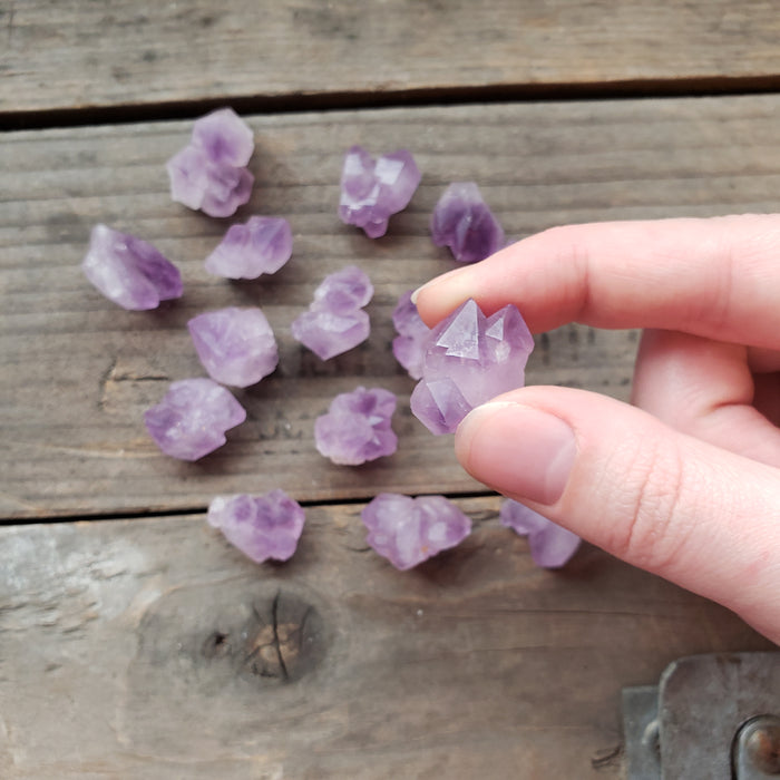 Tiny Amethyst Cluster
