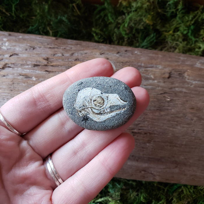 Tiny Skull Painted River Stone