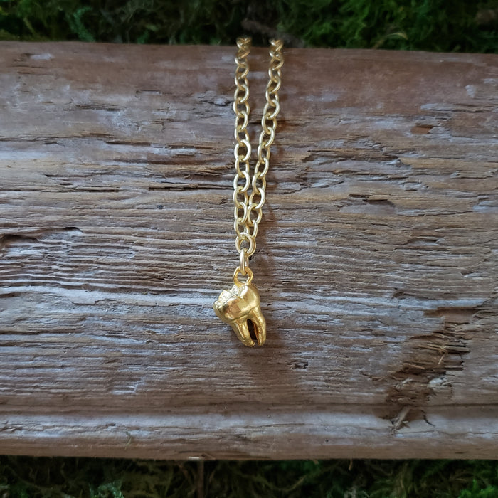 Tooth Necklace