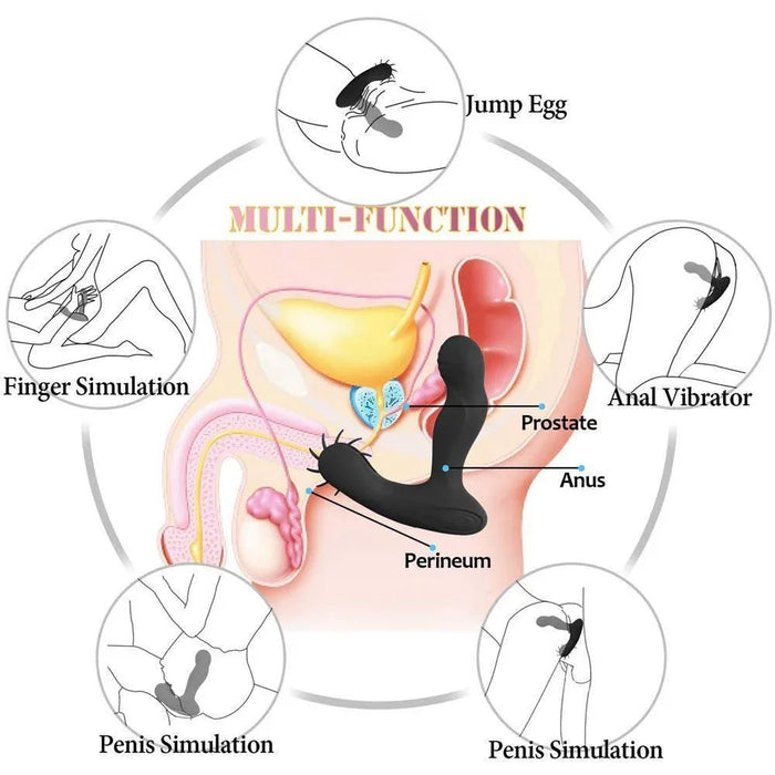 Diagram of multi-function vibrating prostate massager with labeled anatomical zones and uses.