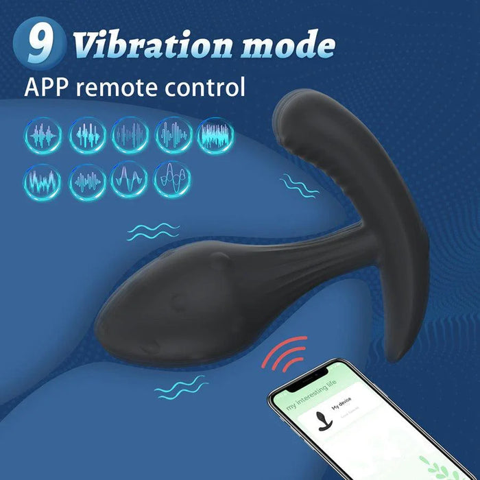 app controlled sex toy