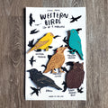 Wooden Bird Magnets (set of 5)
