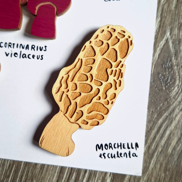 Wooden Mushroom Magnets (set of 5)