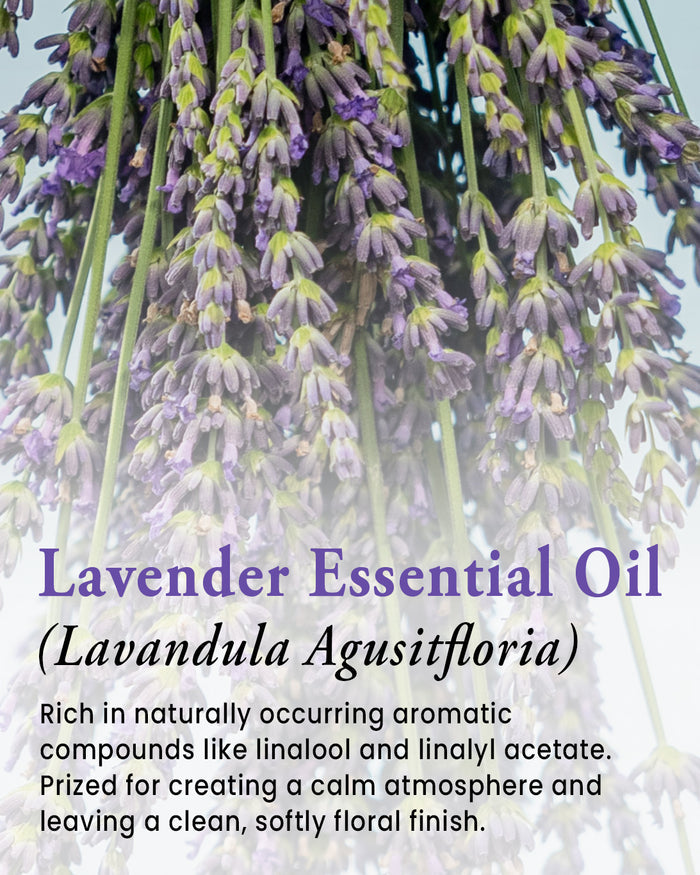 Rustic Strength - Close-up of lavender flowers with text that says: Lavender Essential Oil (Lavandula Augusitfloria) Rich in naturally occurring aromatic compounds like linalool and linalyl acetate. Prized for creating a calm atmosphere and leaving a clean, softly floral finish.