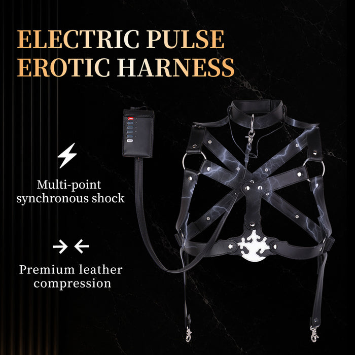 leather bdsm toy